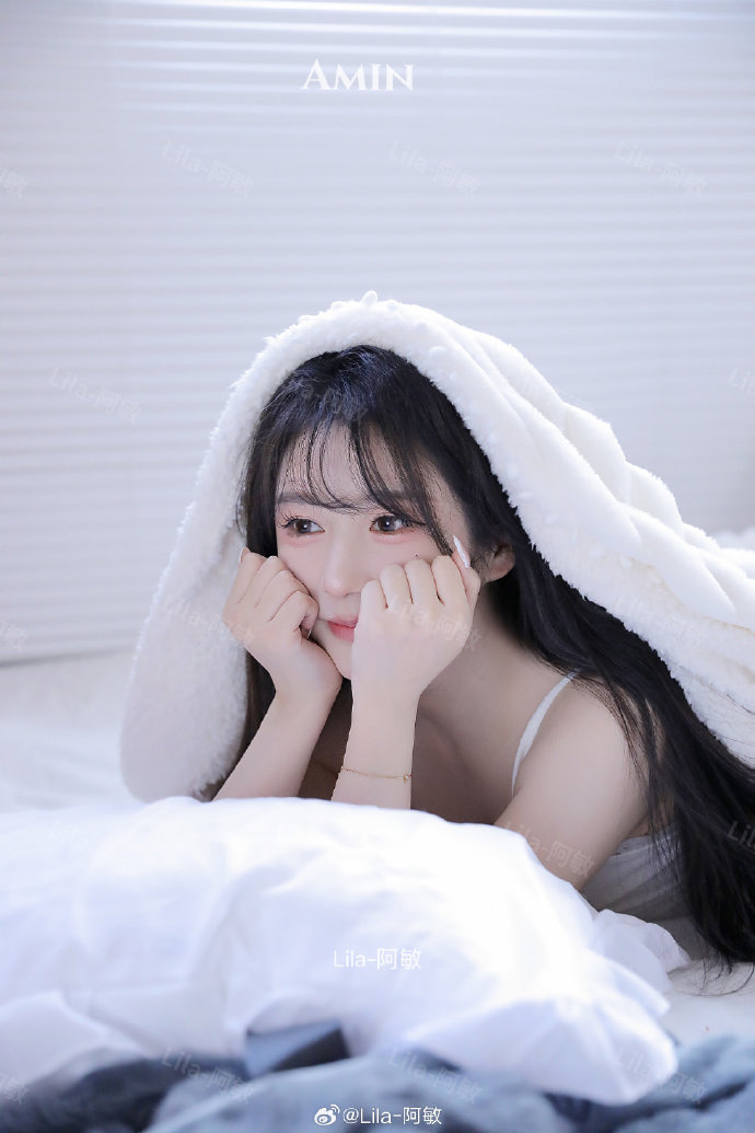 苍鹭与少年 封面